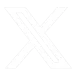 X Ads